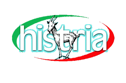 Dodijeljene „Specijalne nagrade Istarske županije“ u sklopu književnog natječaja Mailing List Histria