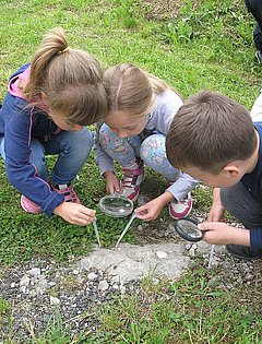 Laboratori informativi per i bambini di Pinguente sulla tutela delle acque nel Carso