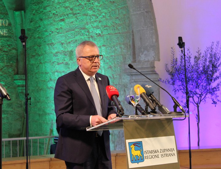 Svečano obilježen Dan Statuta Istarske županije 2015.
