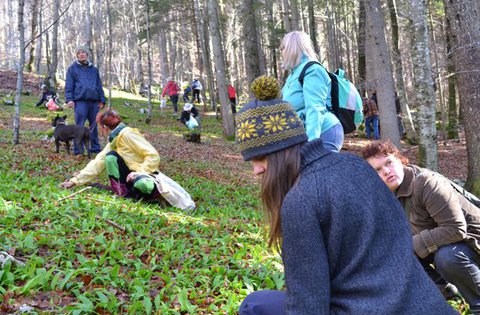 Nel fine settimana dal 12 al 14 aprile 2013, una trentina di membri dell'Associazione croata per la promozione della sopravvivenza in natura