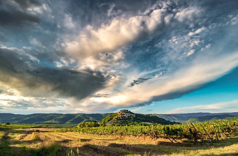 La Regione Istriana ha stanziato 132mila euro per il sostegno all'agricoltura e allo sviluppo rurale