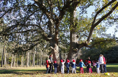 Mališani iz Dječjeg vrtića Zvjezdice otkrili tajne Park šume Šijana