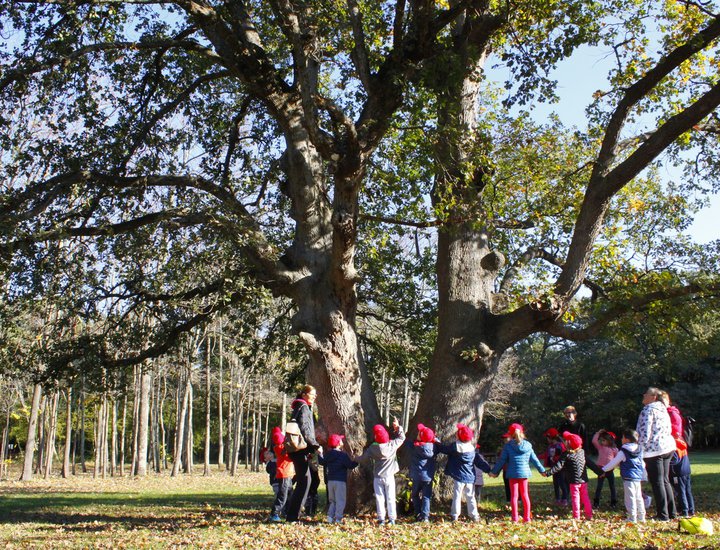 Mališani iz Dječjeg vrtića Zvjezdice otkrili tajne Park šume Šijana