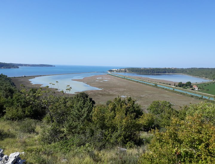 2. veljače - Svjetski dan vlažnih staništa