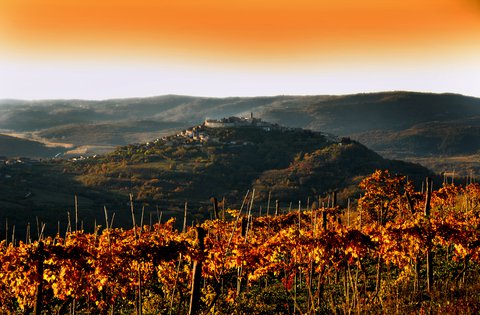 Il presidente Radin ha proclamato lo stato di calamità naturale per il territorio del Comune di Montona