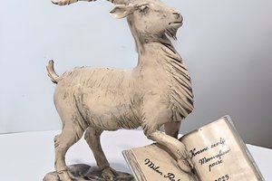 Istarska županija objavila Javni poziv za podnošenje prijedloga za dodjelu nagrade „Krasna zemljo-Meraviglioso paese“ za 2025. godinu