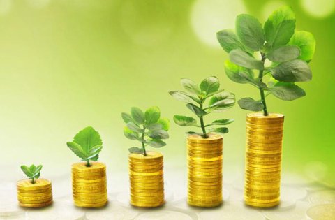 La Regione Istriana sostiene finanziariamente di continuo lo sviluppo dell'economia