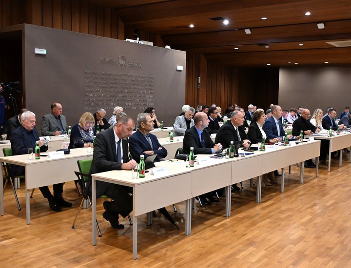 Jednoglasnom odlukom vijećnici Skupštine IŽ formirali sva radna tijela
