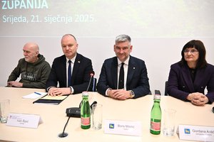 Župan Miletić, gradonačelnici i načelnici razgovarali s resornim ministrom Šipićem o demografskim mjerama na lokalnoj, regionalnoj i nacionalnoj razini