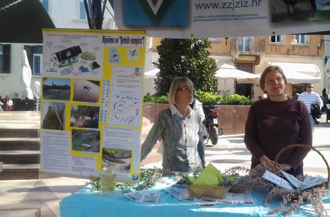 Obilježavanje Svjetskog dana zdravlja